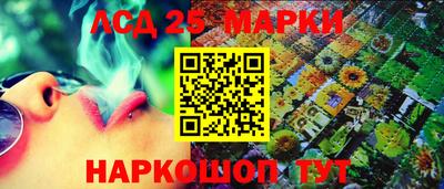 ECSTASY Новодвинск