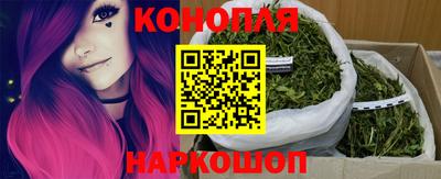 ECSTASY Новодвинск