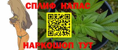 ECSTASY Новодвинск