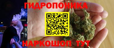 бошки Новозыбков