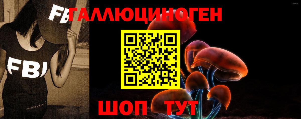 Псилоцибиновые грибы мухоморы  Вход с VPN  Осинники  Галлюциногенные грибы прущие грибы 